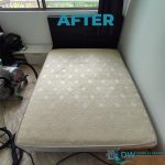 mattress-cleaning-in-singapore-dw-home-cleaning-services-singapore-condo-pasir-ris-6 mattress-cleaning-in-singapore-dw-home-cleaning-services-singapore-condo-pasir-ris-6