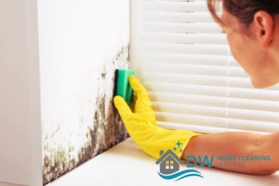 Cleaning Services 8 reduction-of-mould-how-cleaning-services-in-singapore-help-maintain-healthier-indoor-air-quality-cleaning-services-long-form-dw-home-cleaning-services-singapore