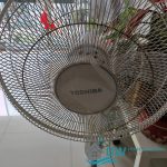 cleaning-fan-part-time-cleaner-service-dw-home-cleaning-services-singapore-hdb-bukit-merah-03 cleaning-fan-part-time-cleaner-service-dw-home-cleaning-services-singapore-hdb-bukit-merah-03