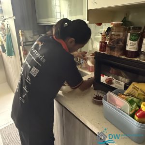 kitchen-cleaning-dw-home-cleaning-services-singapore kitchen-cleaning-dw-home-cleaning-services-singapore
