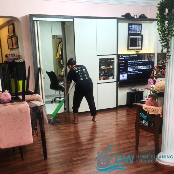 landed-property-home-cleaning-dw-home-cleaning-services-singapore-2